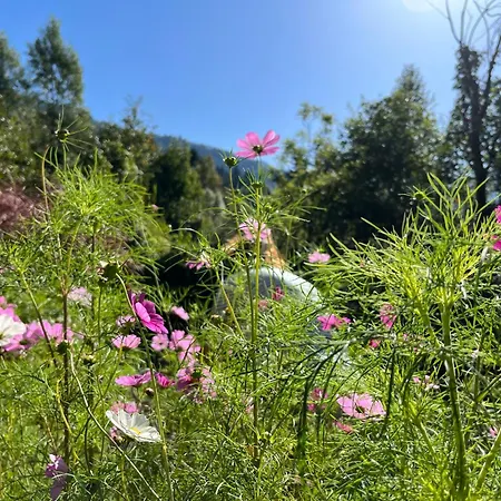 Bergmanns Ferienapartment Апартаменты