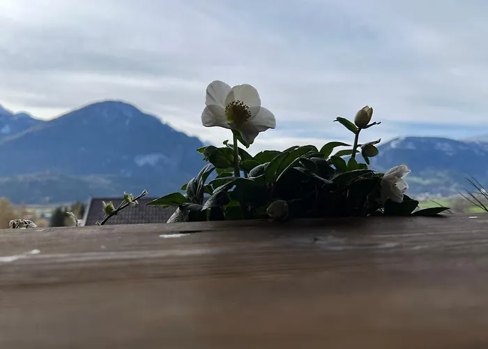 Bergmanns Ferienapartment Debant